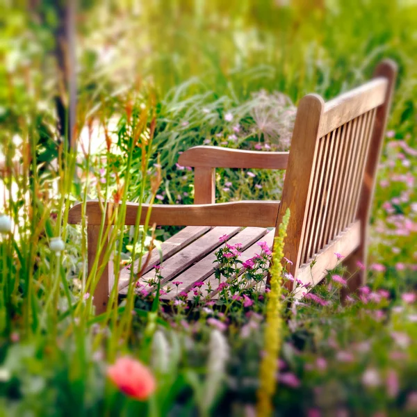 Houten bench in een wildflower tuin. vierkante samenstelling — Stockfoto