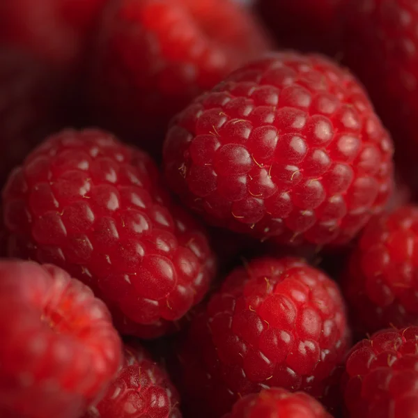 Raspberry bakgrund kvadrat sammansättning rött mjukt och saftigt — Stockfoto