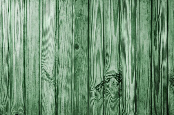 Fondo o textura de pino de madera única. Líneas verticales verde —  Fotos de Stock