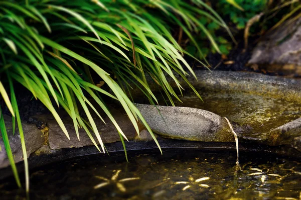 Zen stagno giardino dettaglio flusso d'acqua e fogliame — Foto Stock