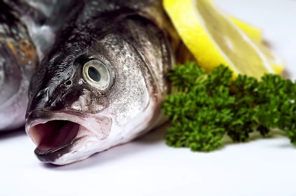 Sea bass fish close up garnished with herb and citrus — Stock Photo, Image