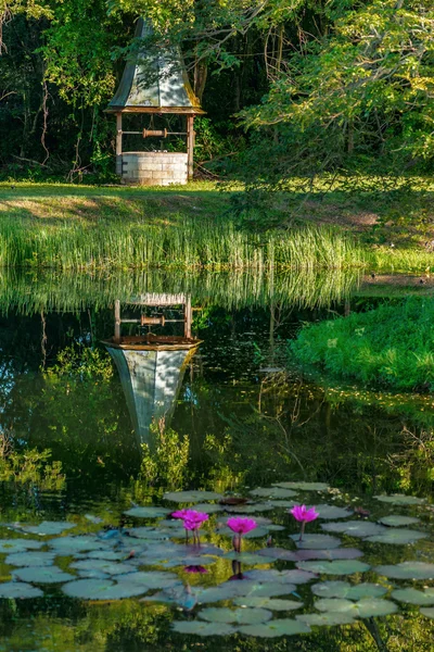 Gamla vintage colonial väl återspeglar tropiska damm tobago Västindien — Stockfoto