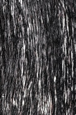 Ahşap ahşap ayrıntılı makro eski ve kurutulmuş ahşap doku