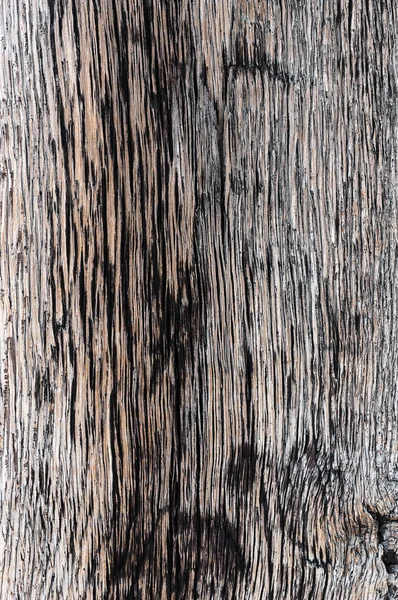 Holz Holz Detail Makro alte und getrocknete Hartholzstruktur — Stockfoto