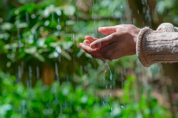 女人的手触水雨水滴新鲜绿色背景 — 图库照片