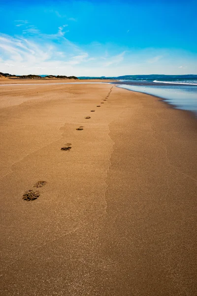 Aberdovey Aberdyfi Wales Snowdonia UK vast beautiful seascape holiday destination footprints on the sand nostalgic concept — Stock Photo, Image