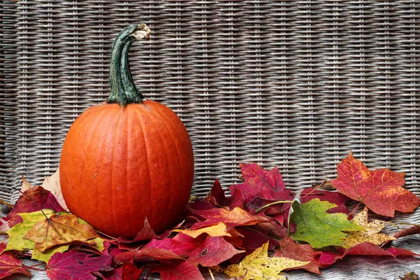 Pumpkin Autumn Red Green Yellow Fall Leaves — Stock Photo, Image