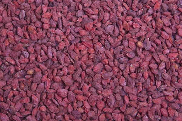 Fondo de bayas de Goji — Foto de Stock