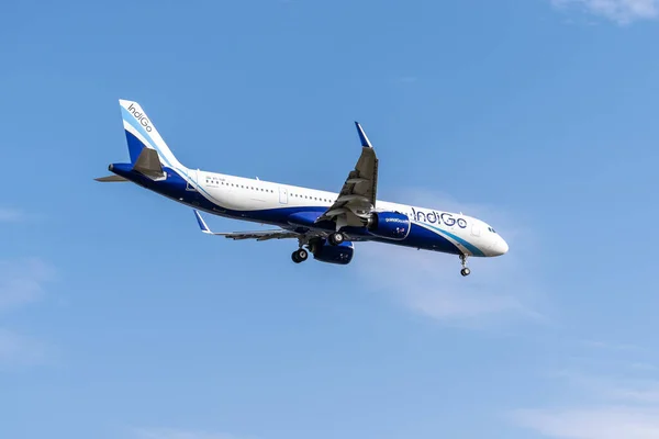 Boryspil, Ukrayna - 25 Eylül 2020: Indigo Airbus A321neo havaalanına iniyor