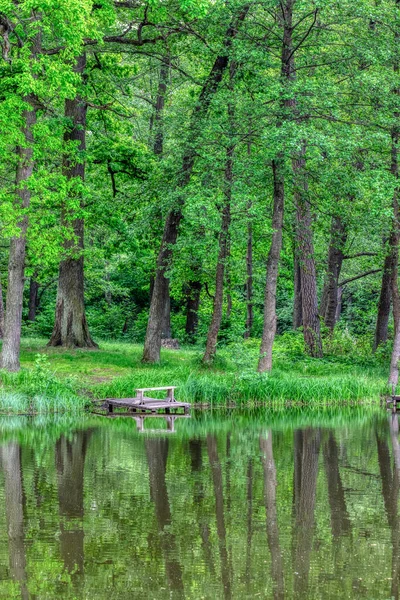 穏やかな湖の水面に映る木々 — ストック写真