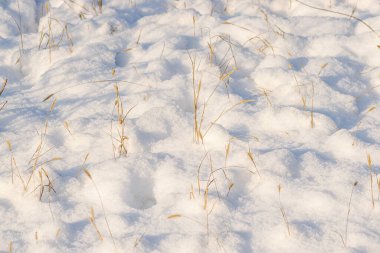 Arka planda taze ve temiz bir gösteri. 22 numara.