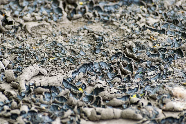 Kuru Iklim Bölgesindeki Çatlamış Toprak Yumuşak Tonlarda — Stok fotoğraf