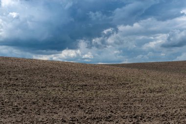 Tarlanın üzerinde fırtına bulutları