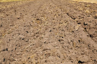 toprak işleme 