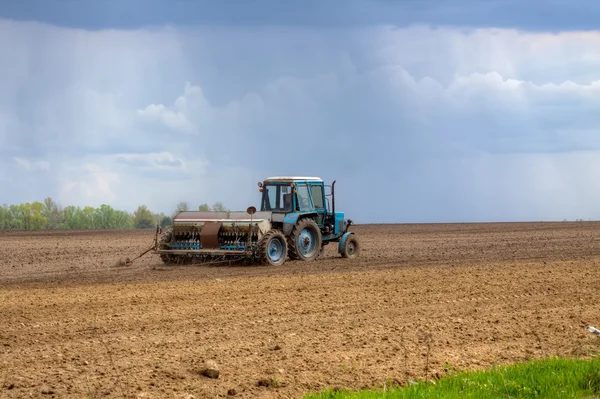 Seeding the field — Stock Photo, Image