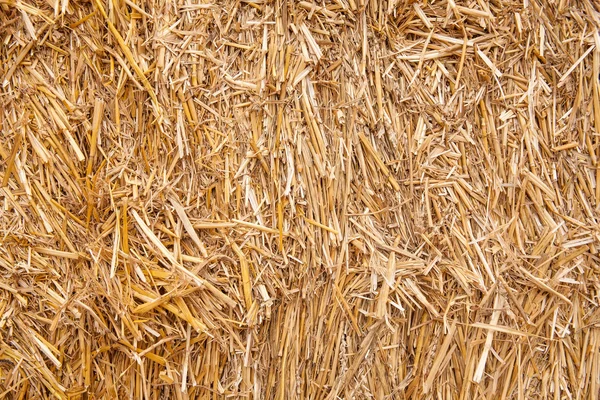 Bale of straw — Stock Photo, Image