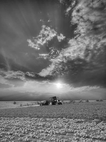 Pulverizando o campo — Fotografia de Stock