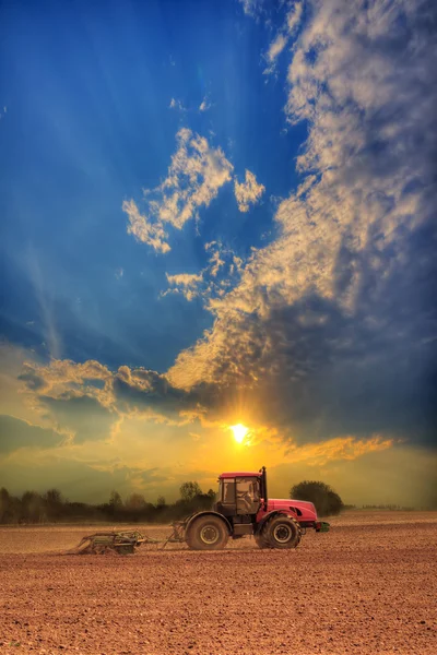 Traktor auf dem Feld — Stockfoto