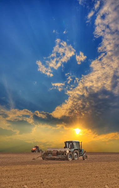 Traktörler sahada. — Stok fotoğraf