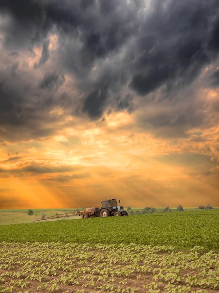 Pulverizando o campo — Fotografia de Stock