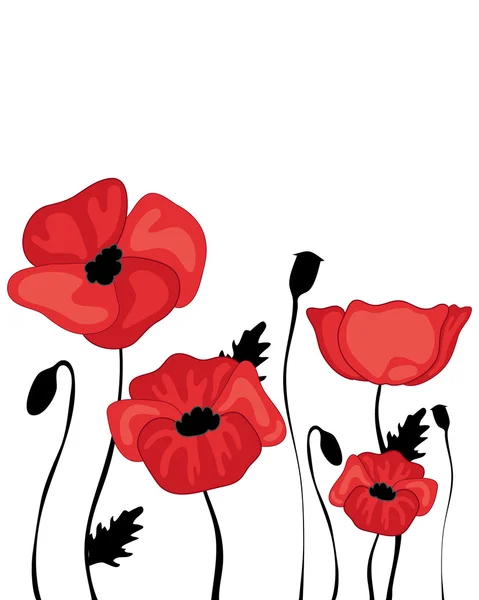 Poppy ontwerp — Stockvector