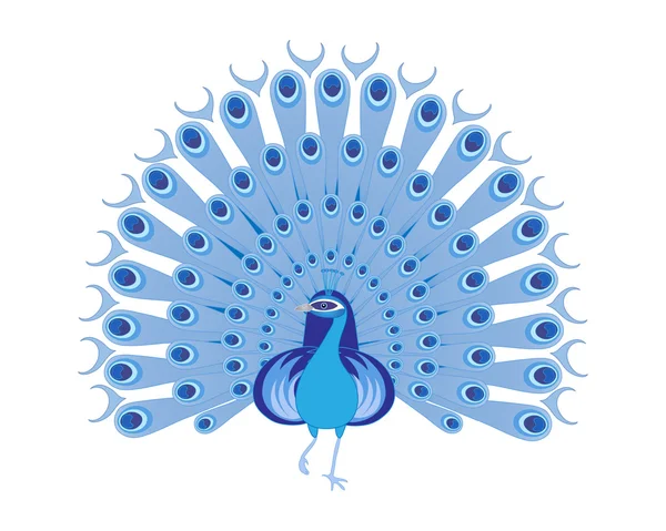 Paon bleu — Image vectorielle