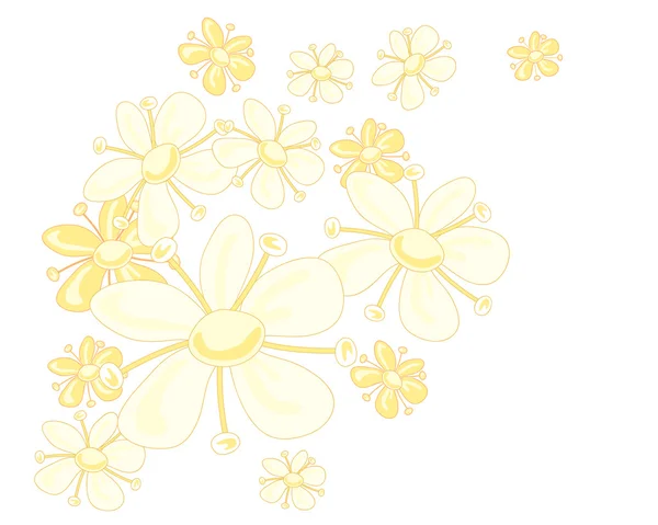 ニワトコの花植物デザイン — ストックベクタ