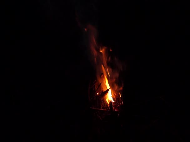 Nacht-Lagerfeuer mit freien Platz auf der linken Seite — Stockvideo