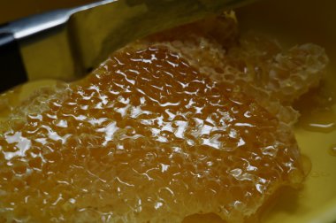 Arıcı sandık arı kovanı işçi, petek çerçeveleri kaldırarak resmin kırpılmış