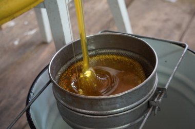 Arıcı sandık arı kovanı işçi, petek çerçeveleri kaldırarak resmin kırpılmış