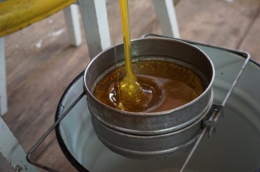Arıcı sandık arı kovanı işçi, petek çerçeveleri kaldırarak resmin kırpılmış