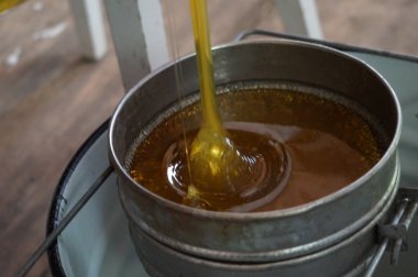Arıcı sandık arı kovanı işçi, petek çerçeveleri kaldırarak resmin kırpılmış