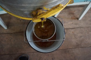 Arıcı sandık arı kovanı işçi, petek çerçeveleri kaldırarak resmin kırpılmış