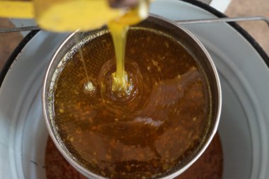 Arıcı sandık arı kovanı işçi, petek çerçeveleri kaldırarak resmin kırpılmış