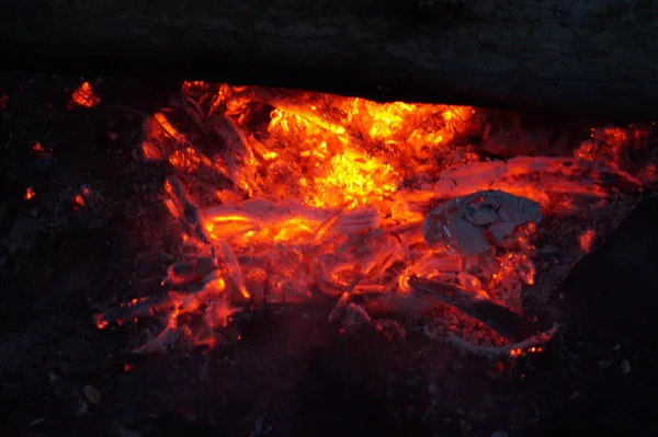 Detailed Fire Background Full Slow Motion Seamless Loop — Stock Photo, Image