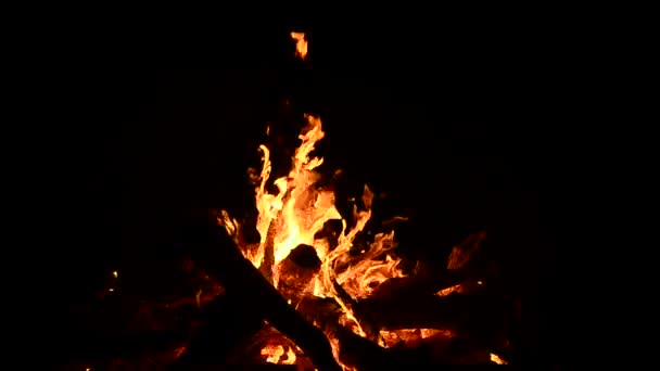 Hořící plameny ohně — Stock video