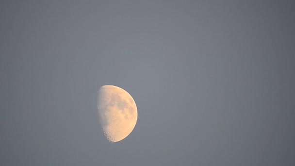 Tempo de lua cheia-lapso como ele eventualmente torna-se obscurecido por nuvens — Vídeo de Stock