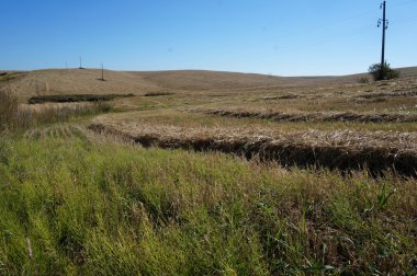 Yeşil çimenli, yollu ve bulutlu yaz manzarası