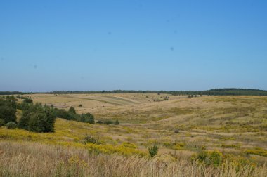 Yeşil çimenli, yollu ve bulutlu yaz manzarası