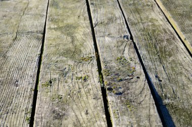 Ahşap doku. arkaplan eski panelleri