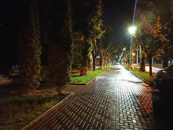 Visão Noturna Rua Cidade — Fotografia de Stock