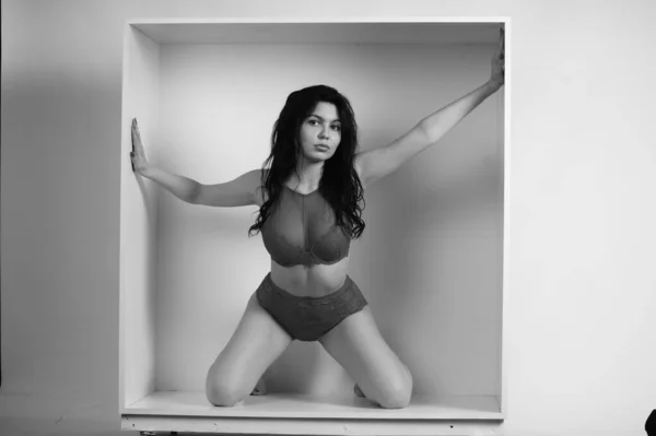 Sexy Beautiful Brunette Woman Lingerie Posing Decorative Box Studio White — Stockfoto