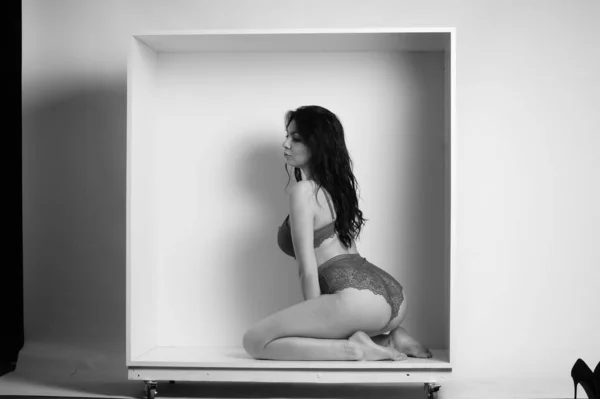 セクシー美しいですブルネット女性でランジェリーポーズの装飾箱でスタジオ上の白の背景 — ストック写真