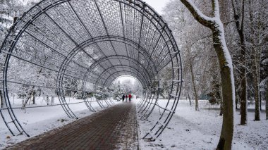 Şehir parkındaki karla kaplı ağaçların manzarası