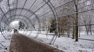 Şehir parkındaki karla kaplı ağaçların manzarası