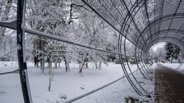 Şehir parkındaki karla kaplı ağaçların manzarası