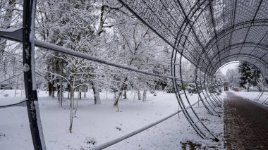 Şehir parkındaki karla kaplı ağaçların manzarası