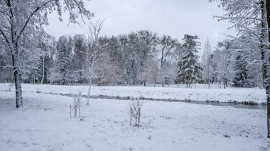 Şehir parkındaki karla kaplı ağaçların manzarası