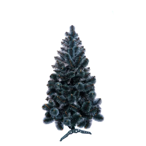 Christmas Tree Blue Spruce Branches Textured Background Blue Spruce Green — Stock Photo, Image