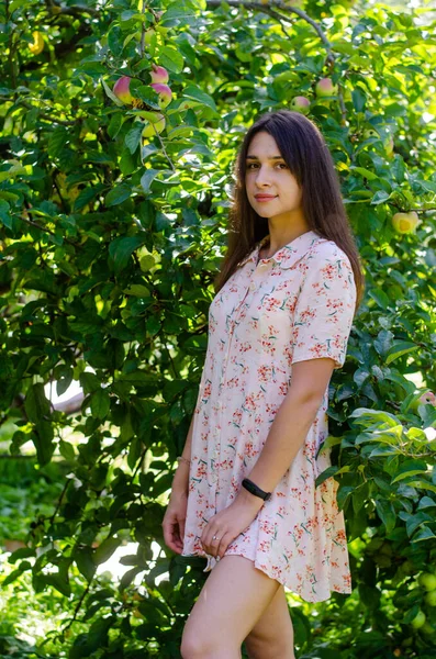 Schöne Junge Mädchen Sommerkleid Posiert Garten Bei Sonnigem Tag — Stockfoto